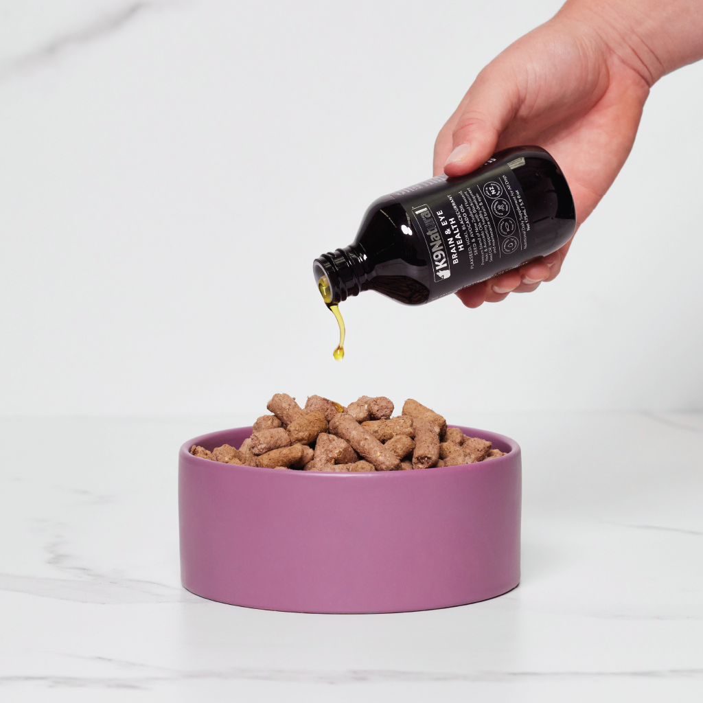 Dog food 2024 for eye health